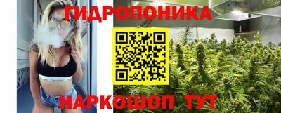 дмт Тара