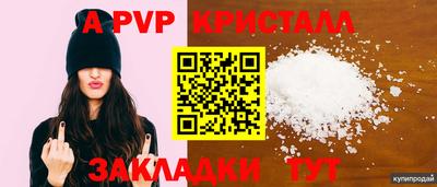 прущие грибы Тверь