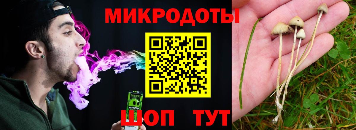 цена наркотик  Вход с VPN  Новосибирск  Псилоцибиновые грибы мухоморы 
