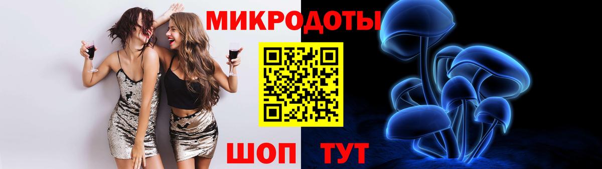 Галлюциногенные грибы Psilocybe Новосибирск